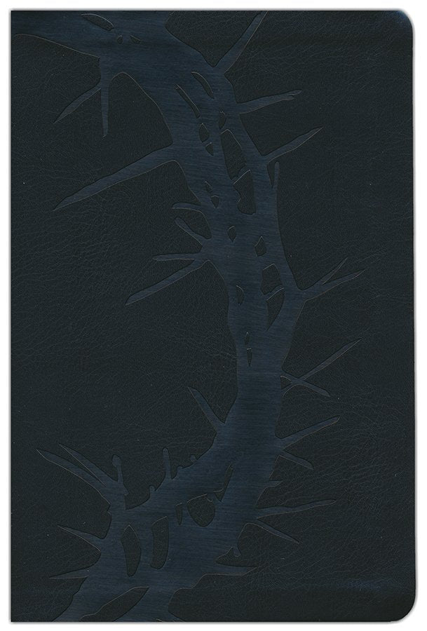 KJV Large Print Personal Size Reference Bible-Charcoal Crown of Thorns LeatherTouch