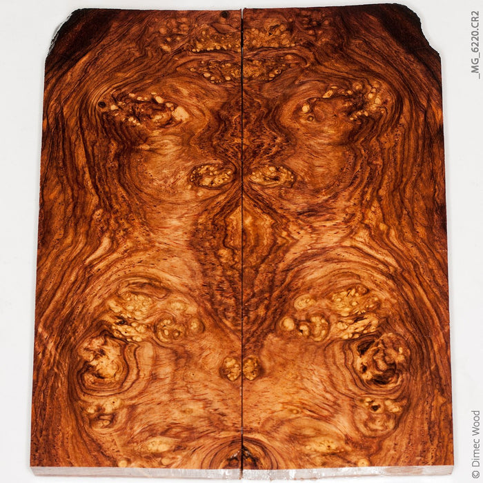 Natural honduran rosewood burl panels