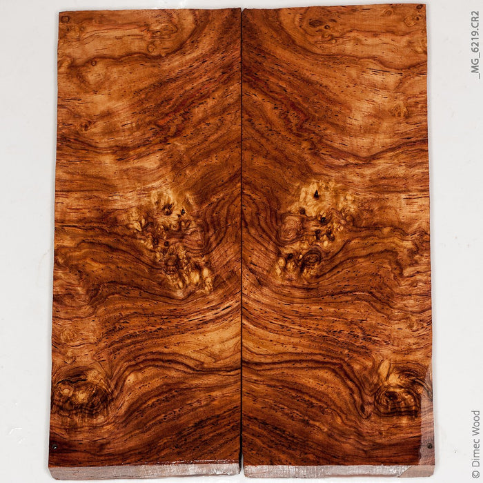 Natural honduran rosewood burl panels