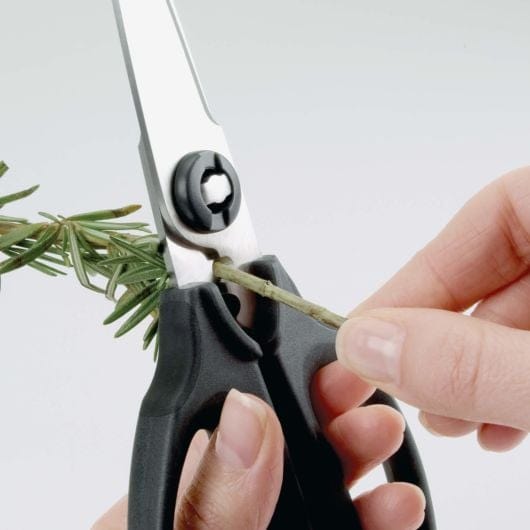 OXO Kitchen And Herb Scissors - Scissors