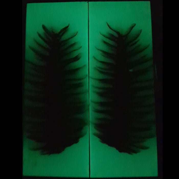 Pine cone glow hybrid panels