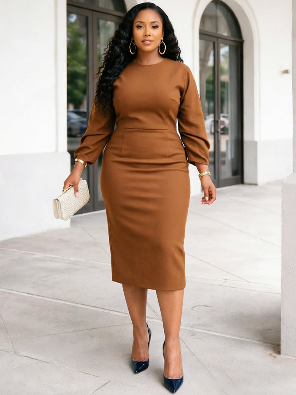 Solid Elegant Bodycon Dress