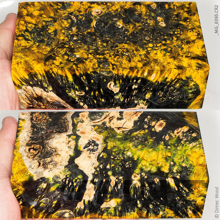 Stabilized wood box elder burl block