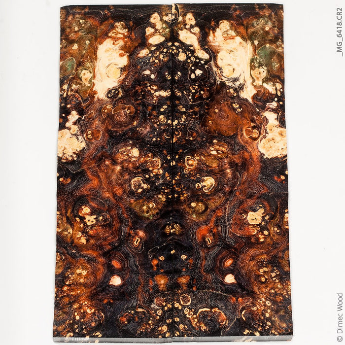 Stabilized wood box elder burl panels