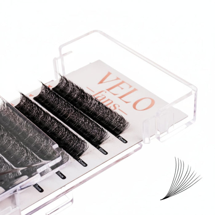 10D Velo Fans Mega Lash Academy