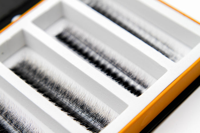 Black/White Ombré 5D Rapid Promade Fans - 600 Fans Promade Fans Mega Lash Academy
