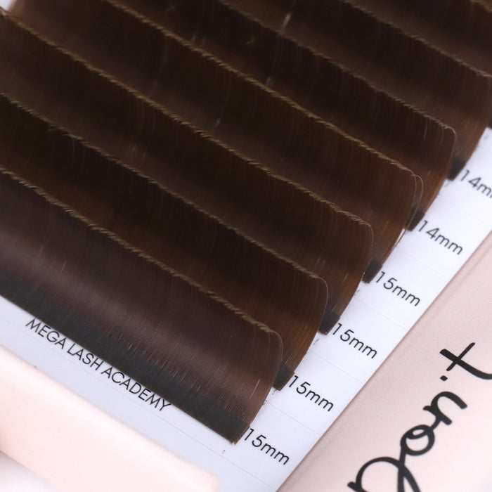 Brown Dual-Tip Flat Lash - Suede Lash Trays Mega Lash Academy
