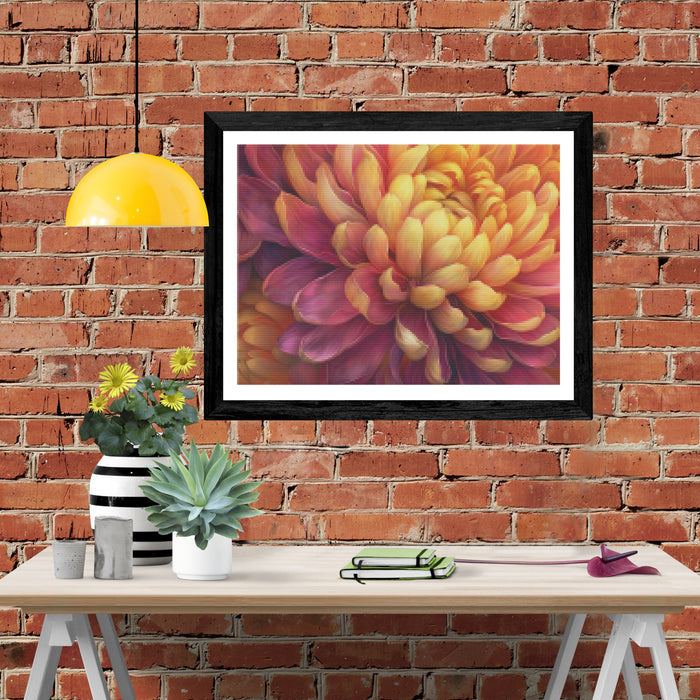 Chrysanthemum Charm