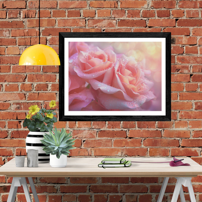 Cluster Of Roses With Dew Drops