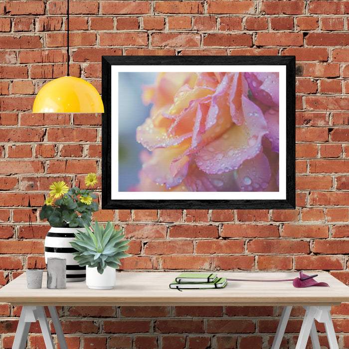 Cluster Of Roses