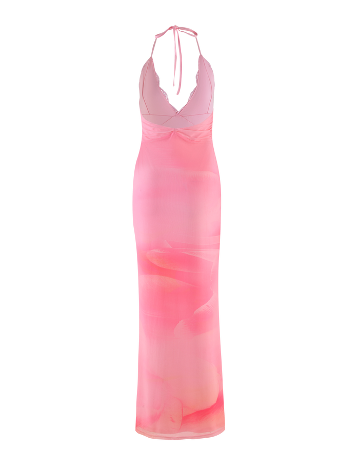 The DENAE MAXI DRESS by TIGERMIST is a sheer, floor-length halter dress in Pink Blossom floral lace with a sweetheart neckline and subtle gradient, showcased on a plain background with matching pink streaks.