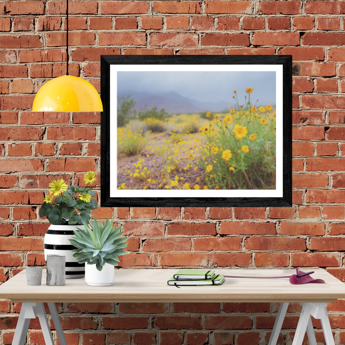 Desert Blooms