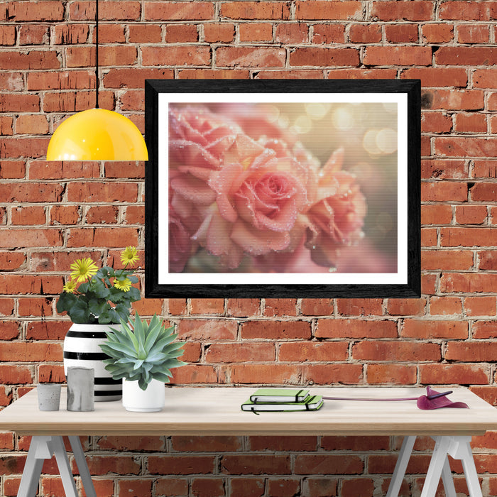 Dew-Kissed Roses