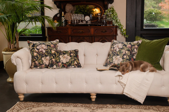 A soft cotton velvet cushion ft. vintage lithographs of magnolias & 1800's etchings of moths and pears - Market of Stars