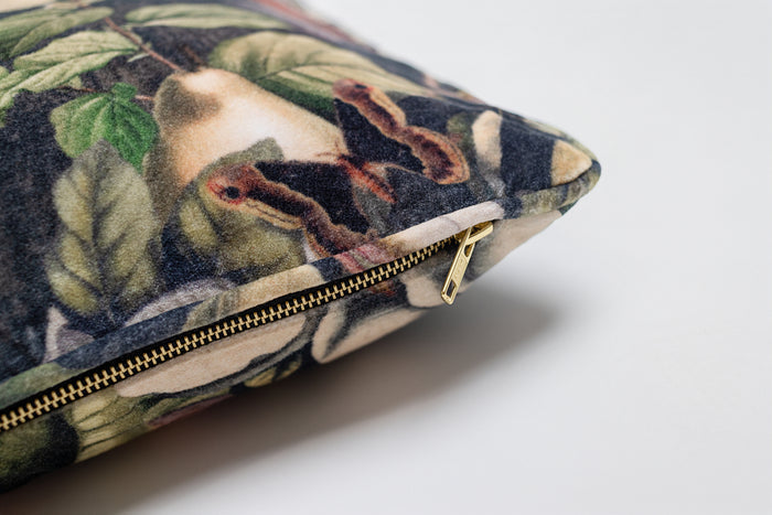 A soft cotton velvet cushion ft. vintage lithographs of magnolias & 1800's etchings of moths and pears - Market of Stars