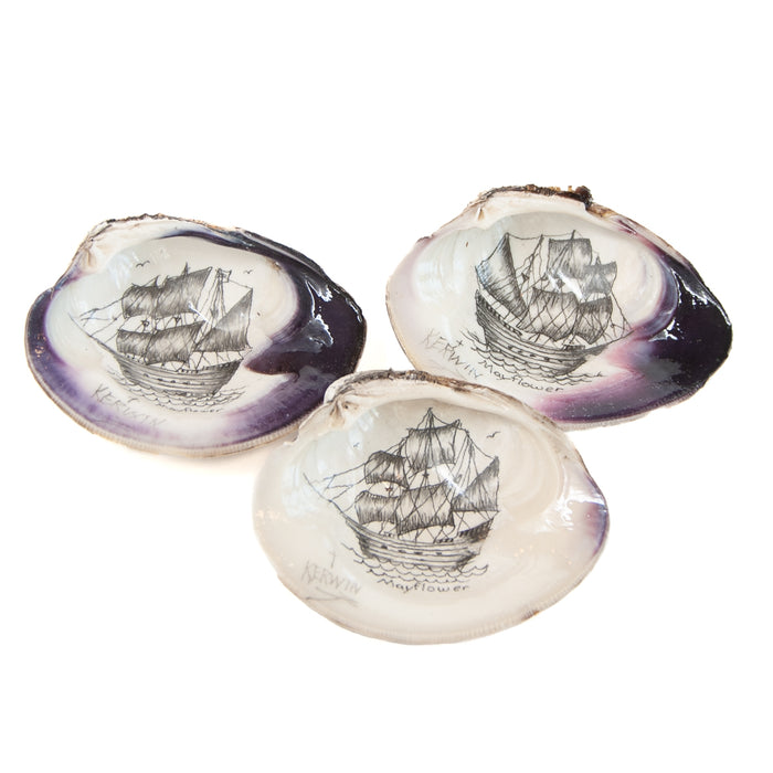 Hand-Drawn Mayflower Quahog Shell