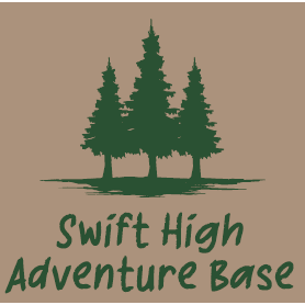 Hoodie Swift Flag