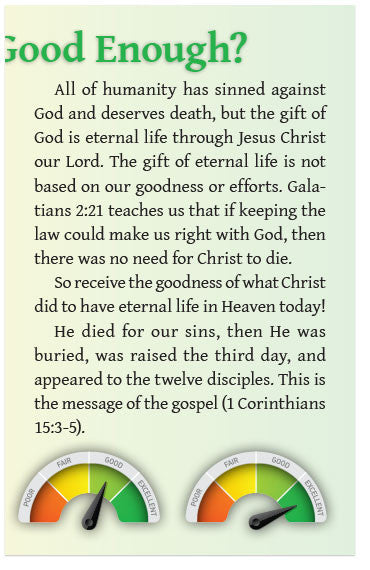 How Good Is Good Enough? (NIV)