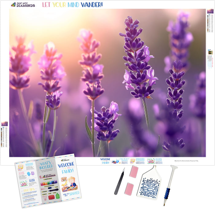 Lavender Serenity