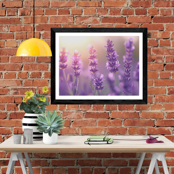 Lavender Serenity