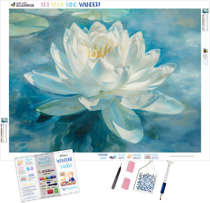 Lotus Tranquility