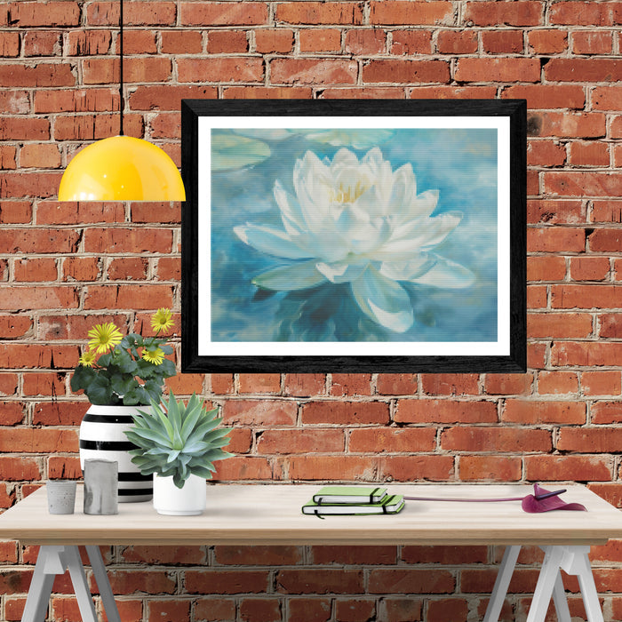Lotus Tranquility