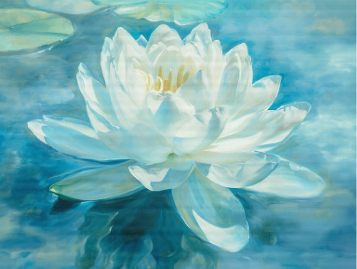 Lotus Tranquility