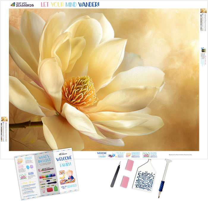 Magnolia Majesty