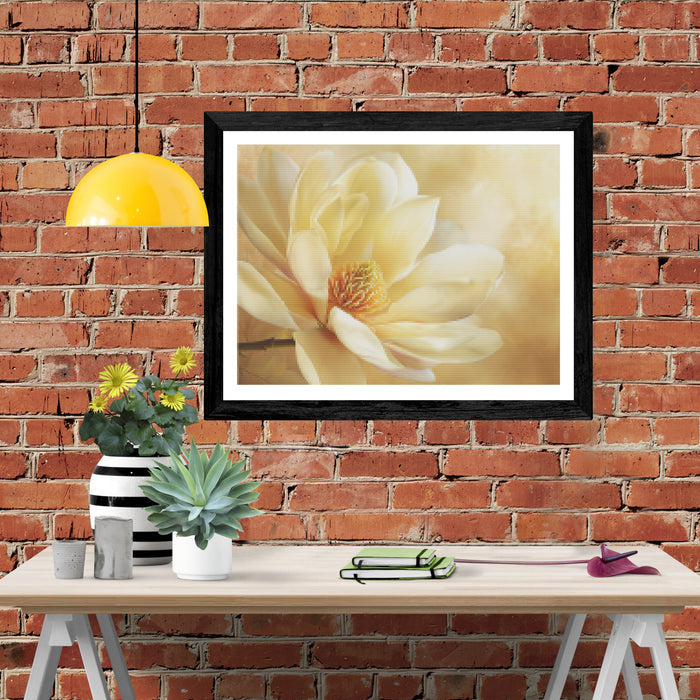 Magnolia Majesty