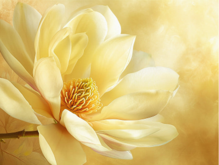 Magnolia Majesty
