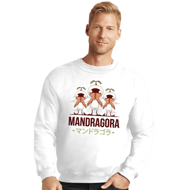 Crewneck Sweater, Unisex / Small / White