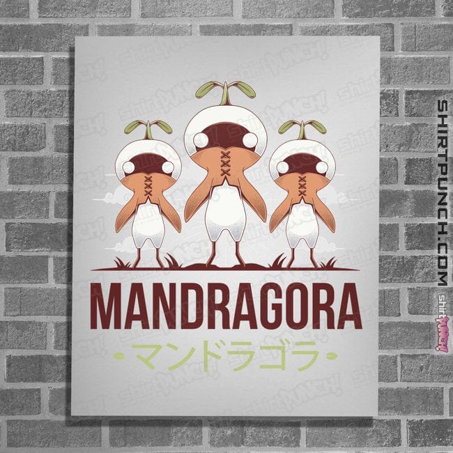 Posters / 4"x6" / White