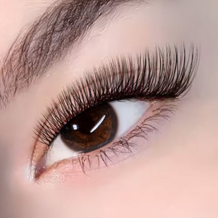 Narrow YY Lash Tray Mega Lash Academy