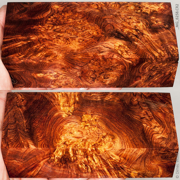 Natural honduran rosewood burl block