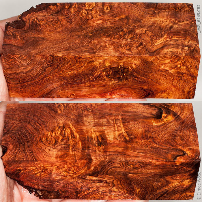 Natural honduran rosewood burl block