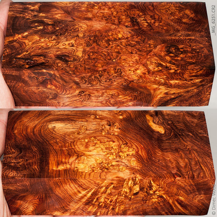 Natural honduran rosewood burl block