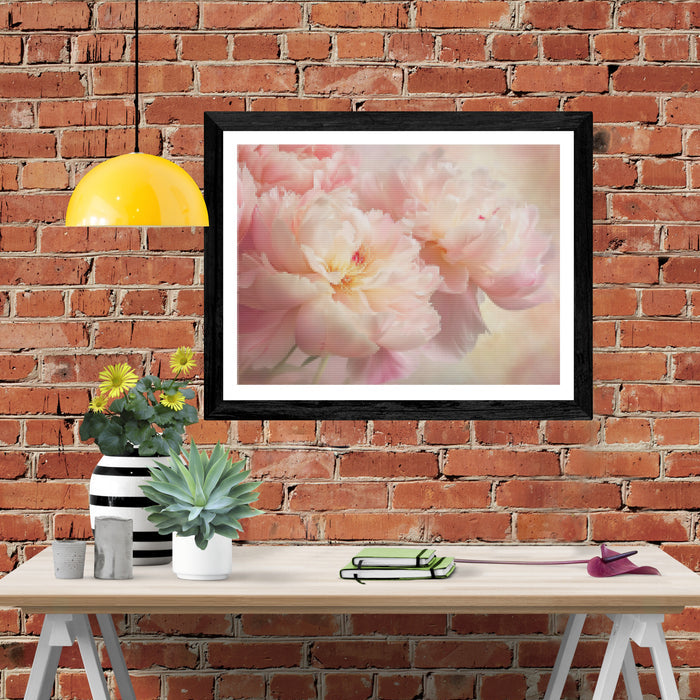 Peony Perfection