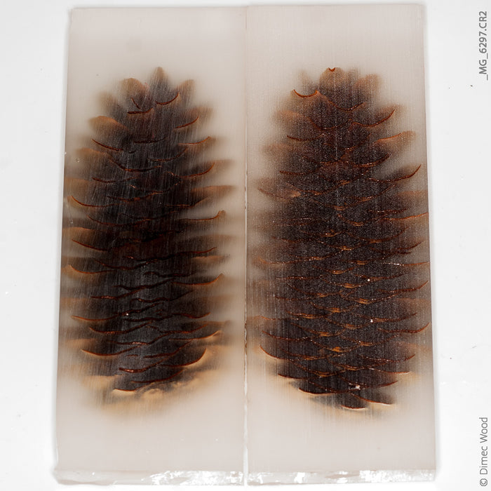 Pine cone glow hybrid panels