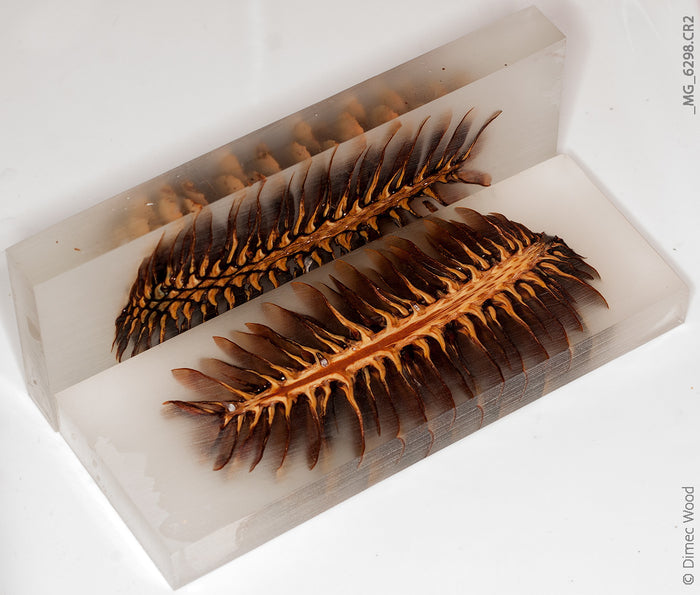 Pine cone glow hybrid panels