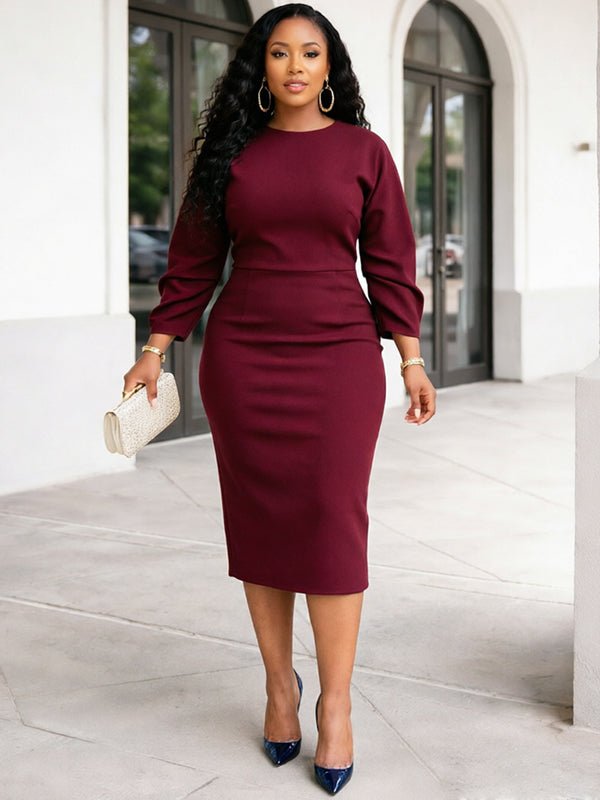 Solid Elegant Bodycon Dress