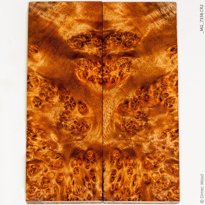Stabilized golden amboyna burl wood panels