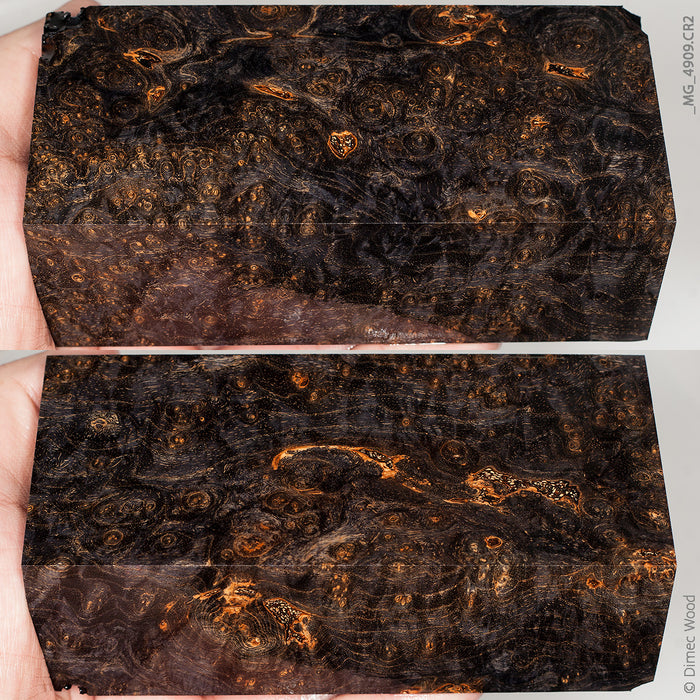 Stabilized wood black ash burl block