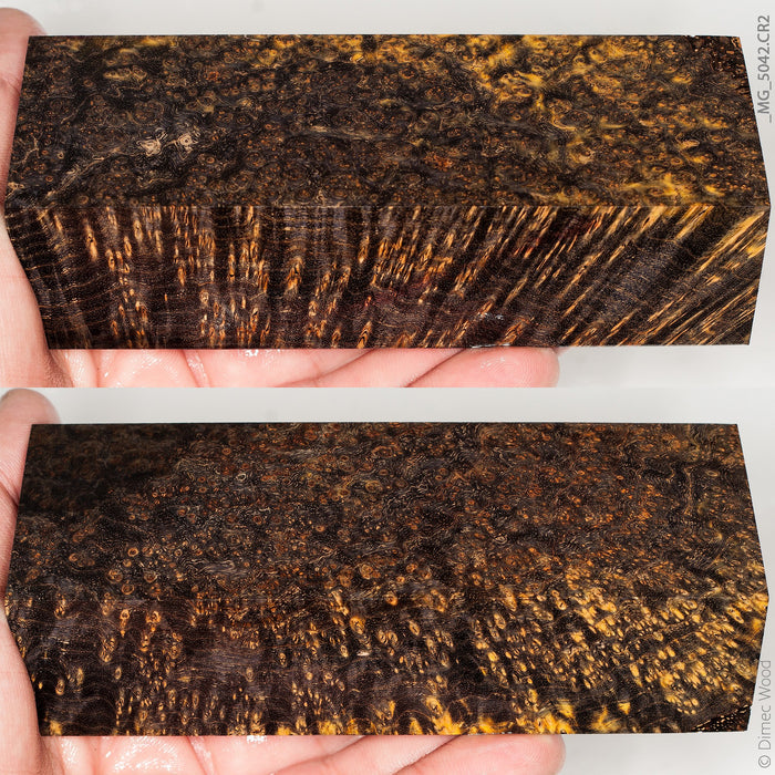 Stabilized wood black ash burl block