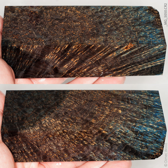 Stabilized wood black ash burl block