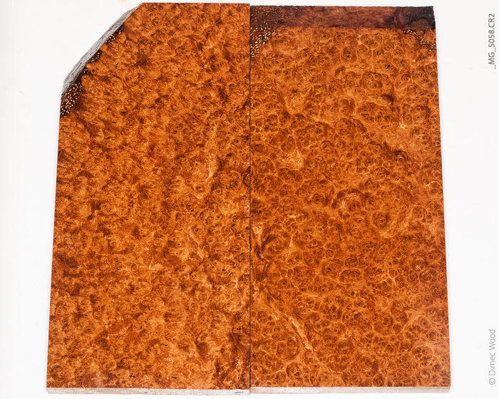 Stabilized wood black ash burl panels