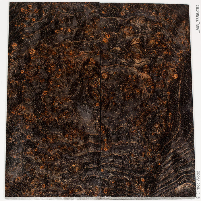 Stabilized wood black ash burl panels