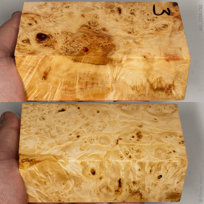 Stabilized wood box elder burl block