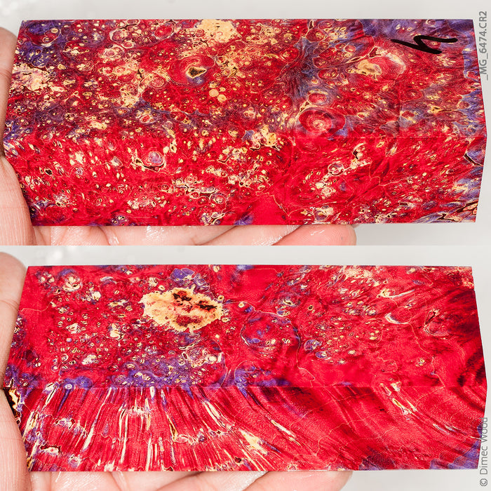 Stabilized wood box elder burl block