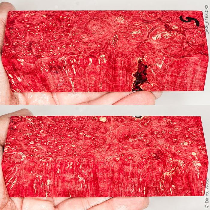 Stabilized wood box elder burl block