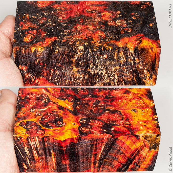 Stabilized wood box elder burl block
